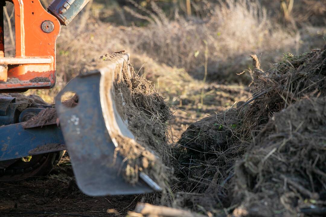 Savivaliavimas: su miestu ir aplinkosaugininkais nederino Neries krantinės tvarkymo darbų.