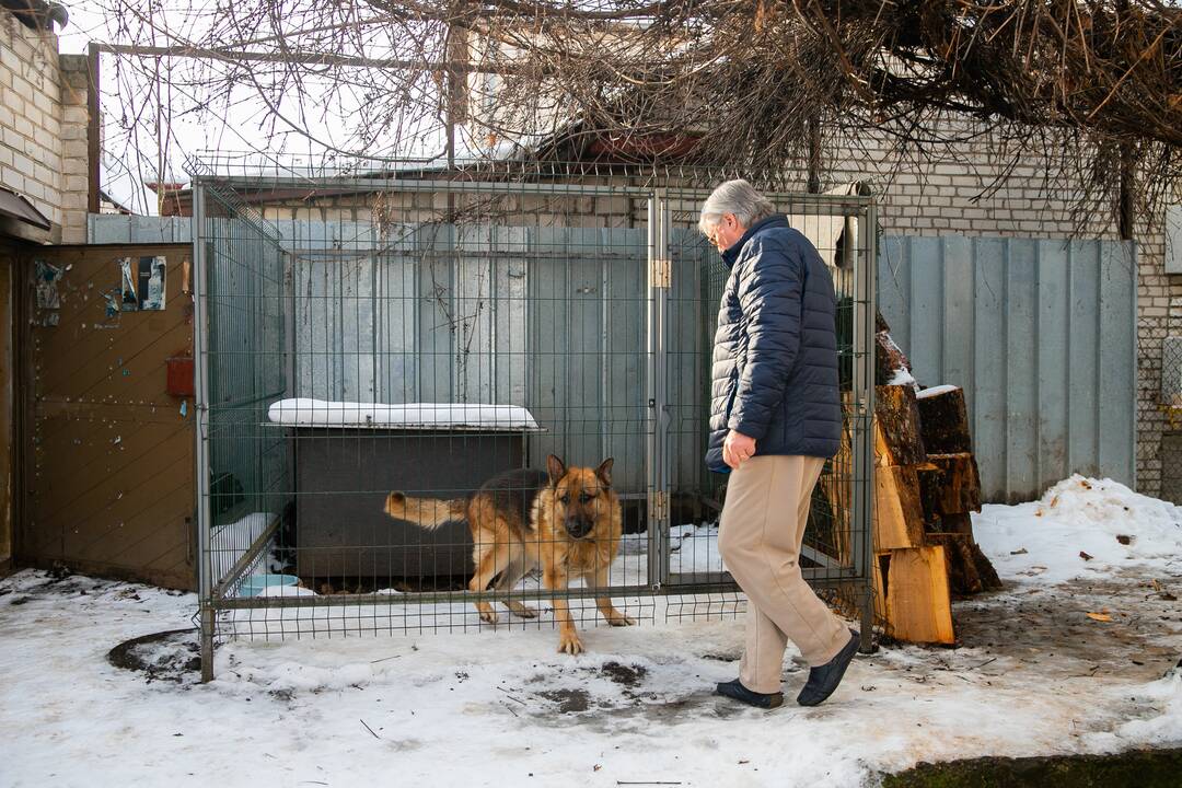 Židrūnas Naujokas