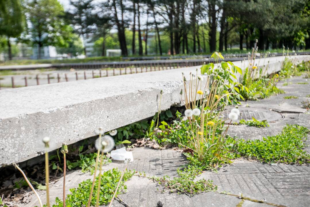 Neveikia: Taikos prospekte esančio fontano dalis kauniečių nė neprisimena, nes jis jau seniai apleistas.