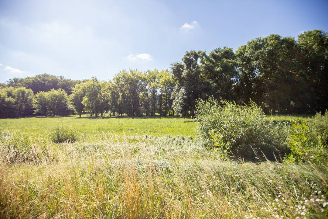 Naujos statybos keičia Savanorių prospekto veidą