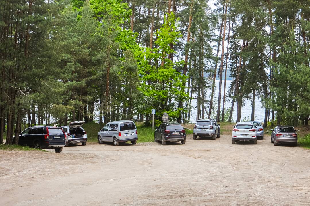 Ratai: pikniko dalyviai į atokią pakrantę suvažiavo, kaip įtariama, ir tarnybiniais automobiliais.