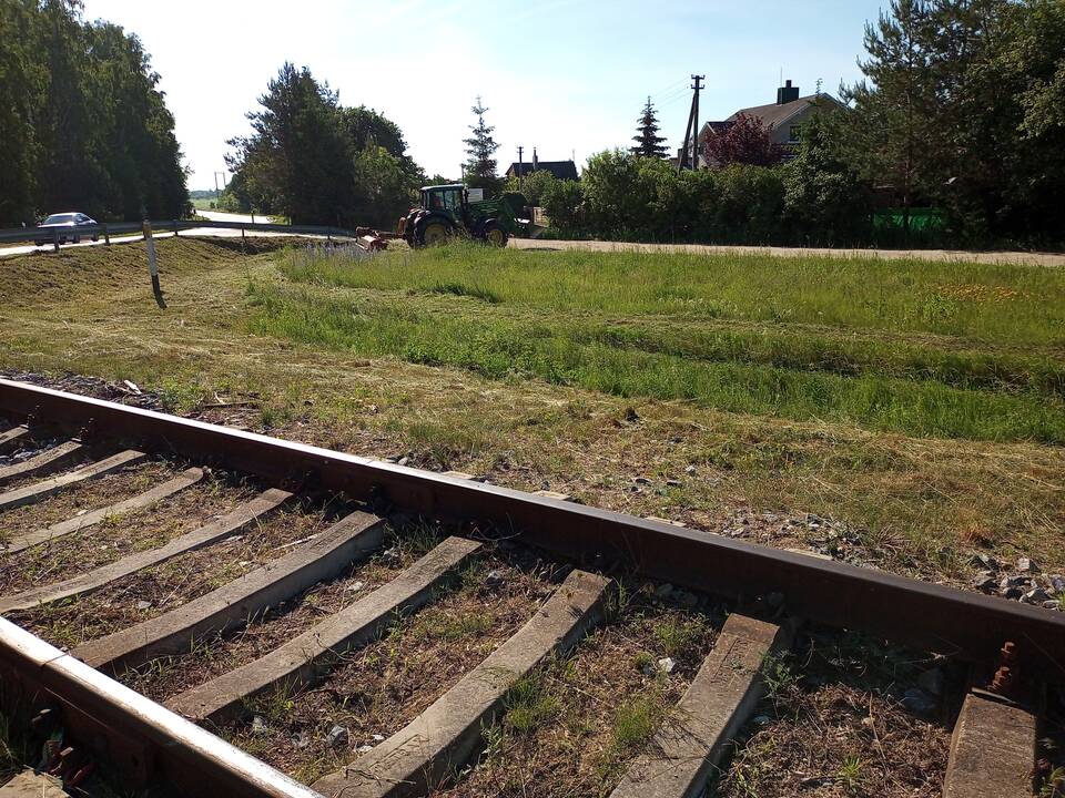 Nupjovė: geležinkelininkai po skundų pasirūpino eismo saugumu – iki tol Kiškėnų pervaža skendėjo žolėse.
