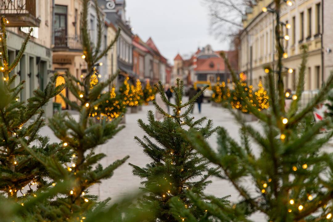 Papuošta: Vilniaus gatvėje jau tviska eglutės, bet oficialiai čia – statybų aikštelė.