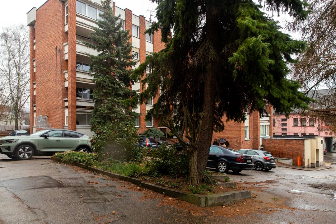 Apetitas: vieno namo savininkams užsimojus suformuoti sklypo ribas, kaimynai įsitikinę, kad jie pretenduoja į du su puse karto didesnę teritoriją nei galėtų.