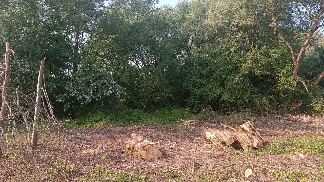 Pokyčiai: anksčiau buvo galima laisvai vaikščioti Kauno marių pakrantėje, o dabar pasitinka ženklas „Privati valda“.