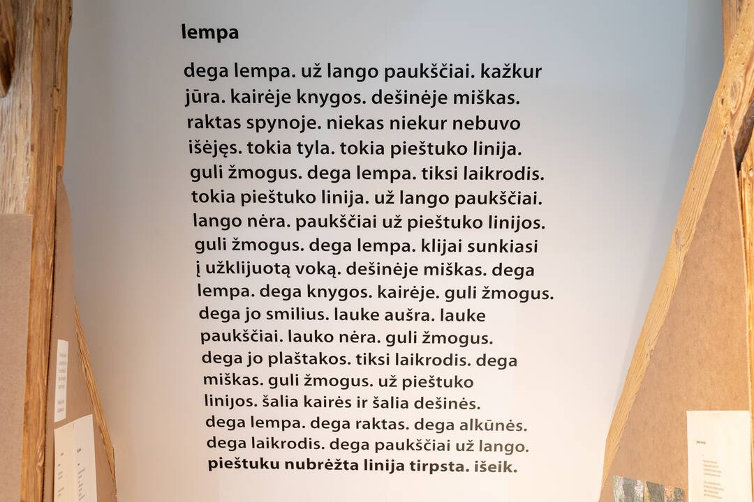 Legenda: ištraukti iš stalčių, paimti nuo lentynų, K. Navako daiktai šiandien kalba apie didį kūrėją.