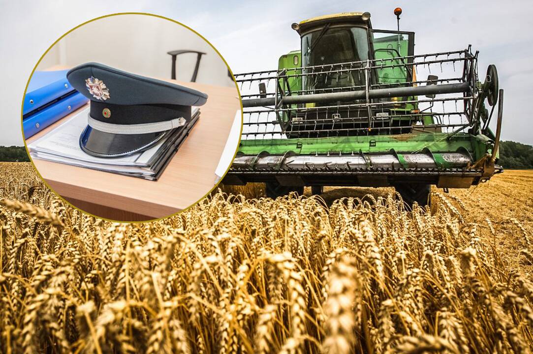 Prarado: grūdai kažkur iškeliavo, tačiau ūkininkai pinigų nesulaukė.