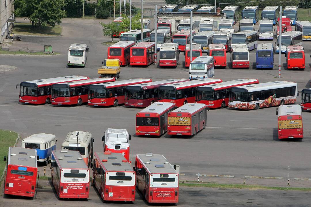 Kaina: nemokamas transportas Kaunui kainuotų apie 30 mln. eurų per metus.