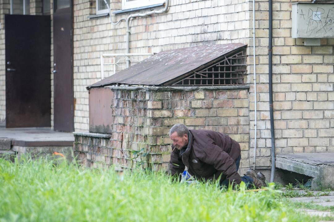 Pasirinkimas: ketvertas "viešbučio" gyventojų susėdo pabendrauti netoli daugiabučio namo.