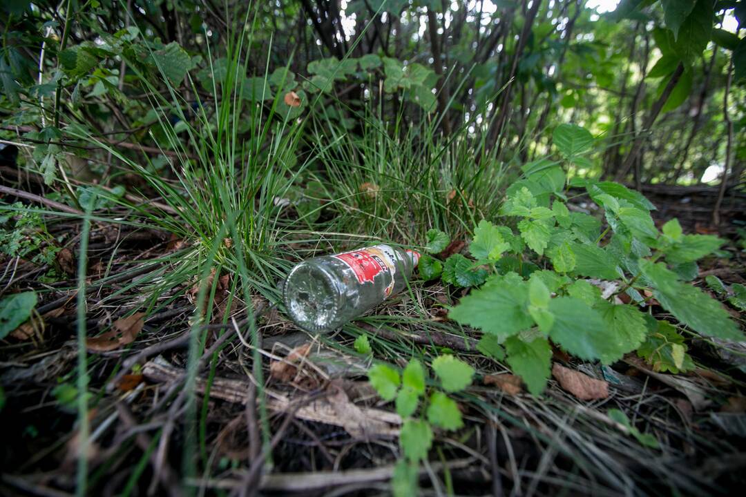 Pasirinkimas: ketvertas "viešbučio" gyventojų susėdo pabendrauti netoli daugiabučio namo.