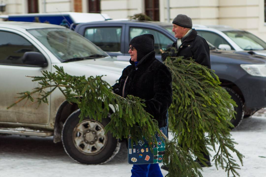 Akciją „Parsinešk Kalėdas į savo namus“ Kaune