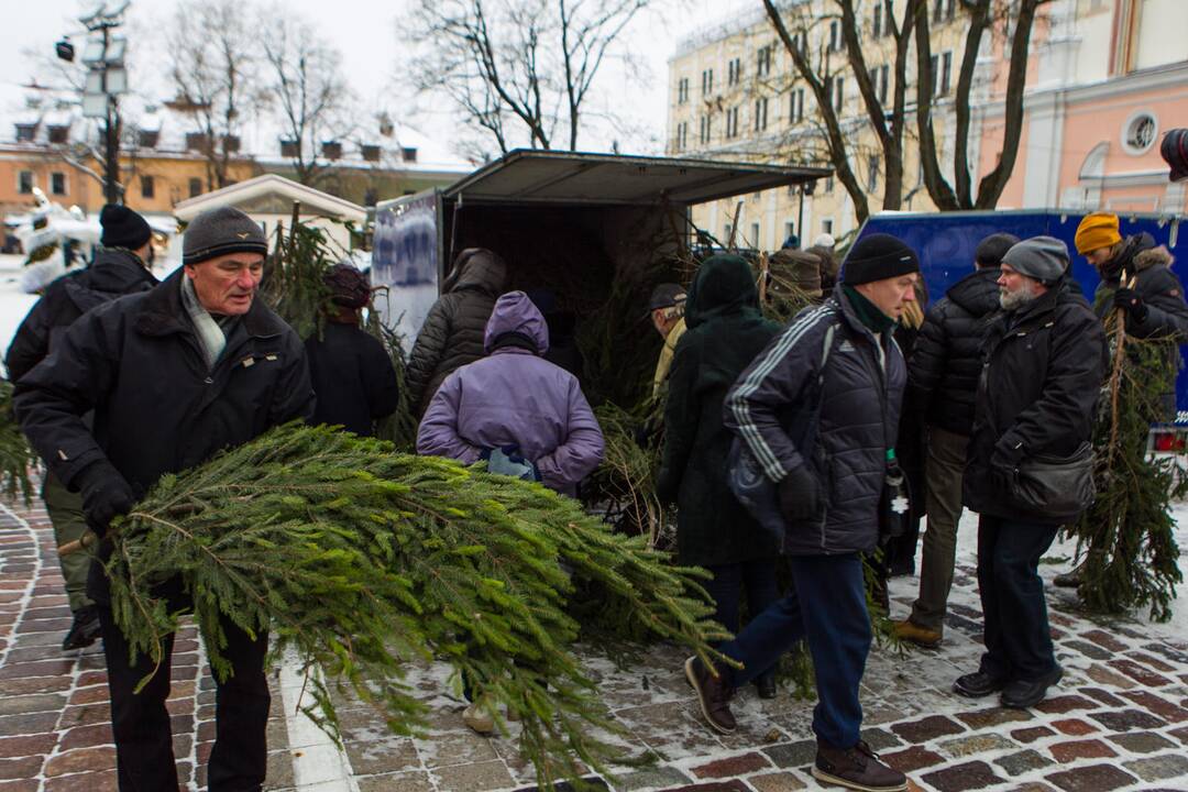 Akciją „Parsinešk Kalėdas į savo namus“ Kaune