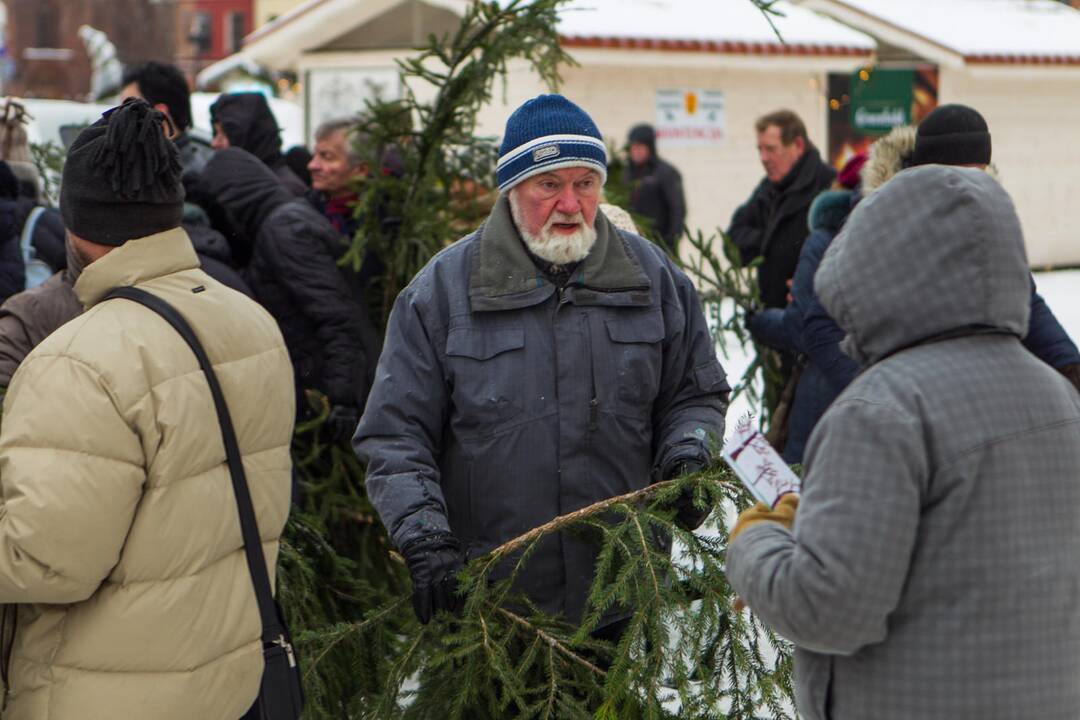 Akciją „Parsinešk Kalėdas į savo namus“ Kaune