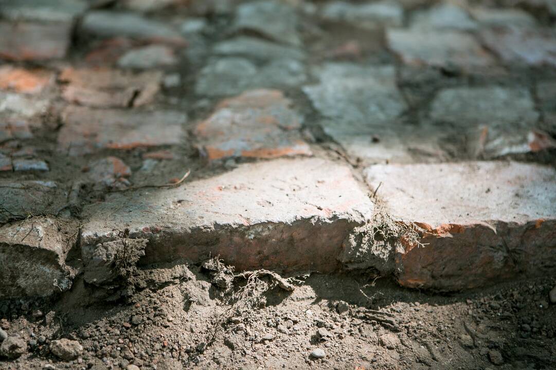 Archeologiniai kasinėjimai Muzikinio teatro sodelyje 