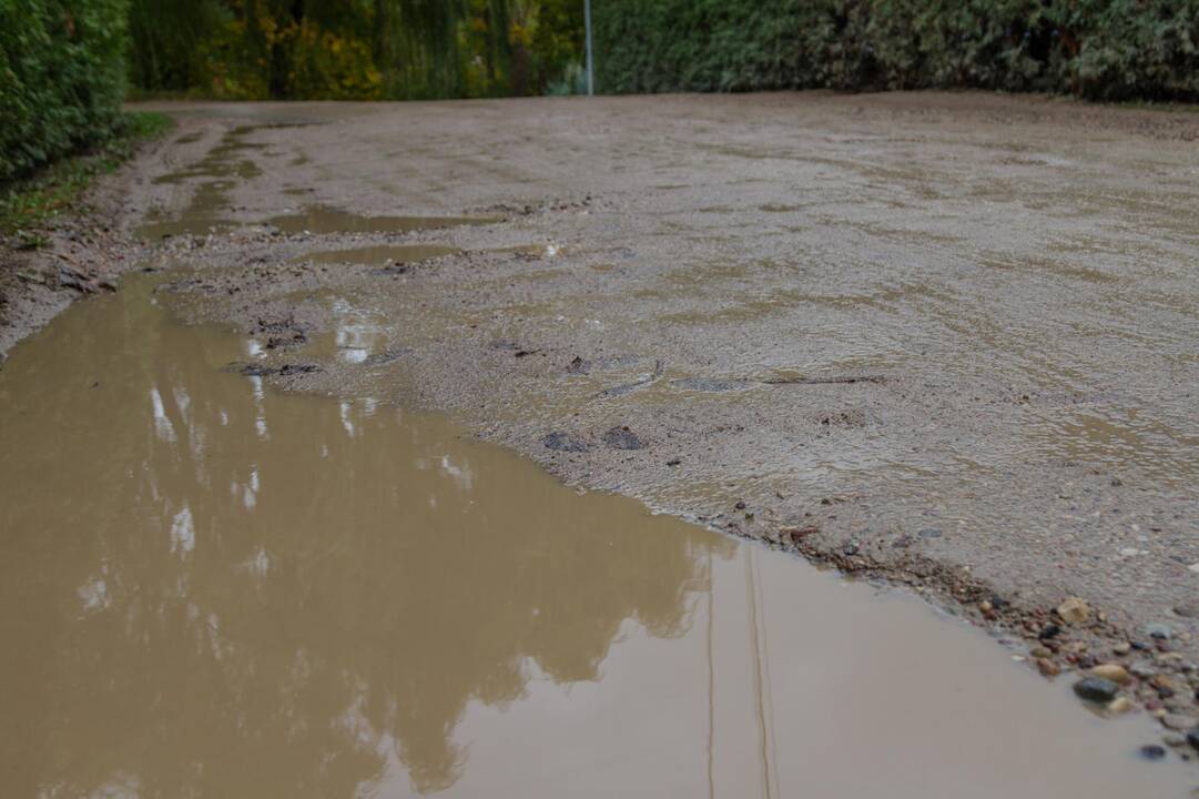 Vaizdas: dalis Technikumo gatvės nusėta duobių.