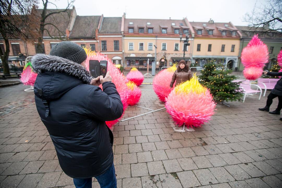 Kauniečiai ir miesto svečiai aplankė kosminę kalėdų eglę