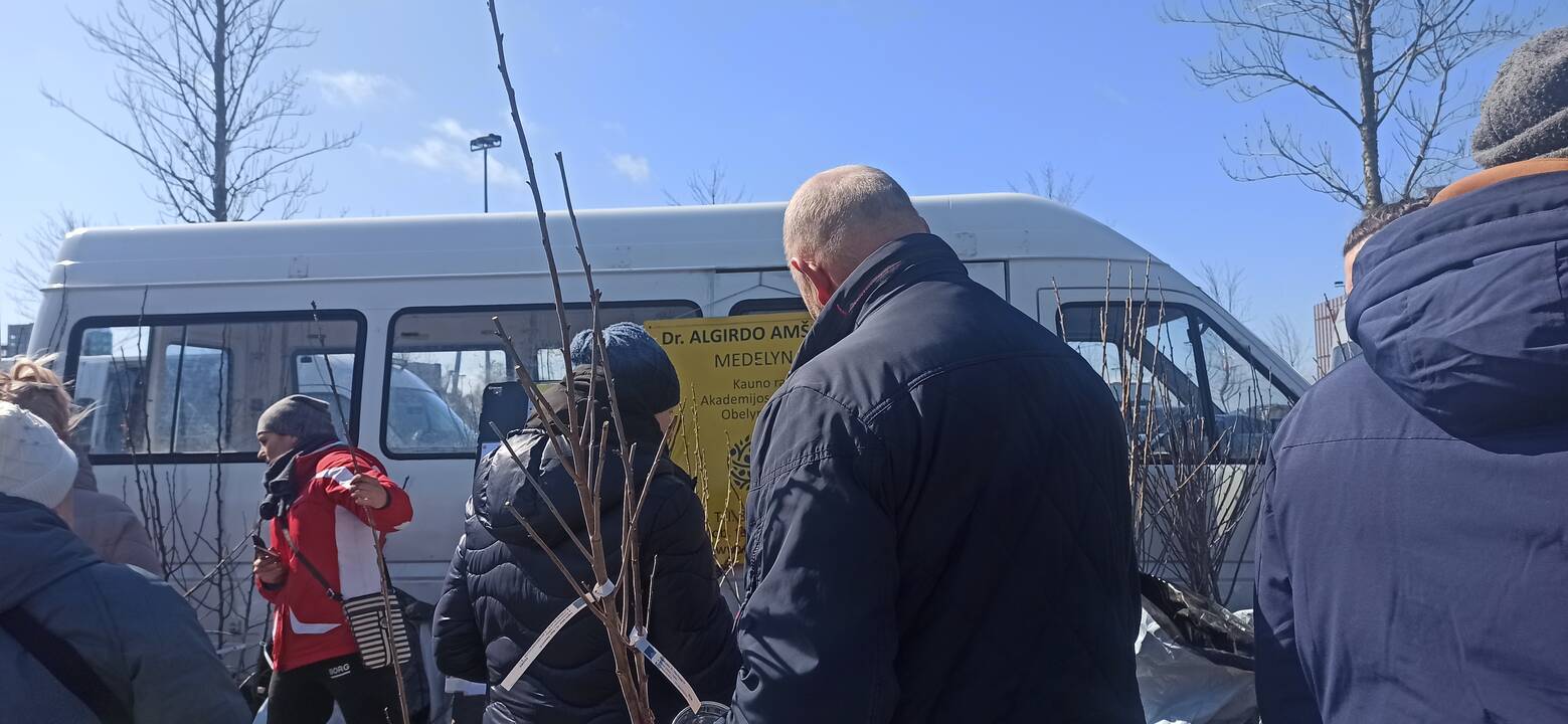 Uostamiestyje – pavasarinės mugės