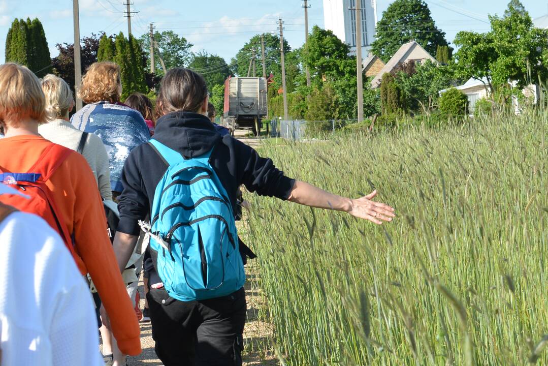 Patrauklu: keliauti piligriminiais maršrutais į Šiluvą žmonės atvyksta nuolat – po vieną, poromis, šeimomis, grupelėmis, su parapija ar bendruomene, su darbovietės kolektyvu.
