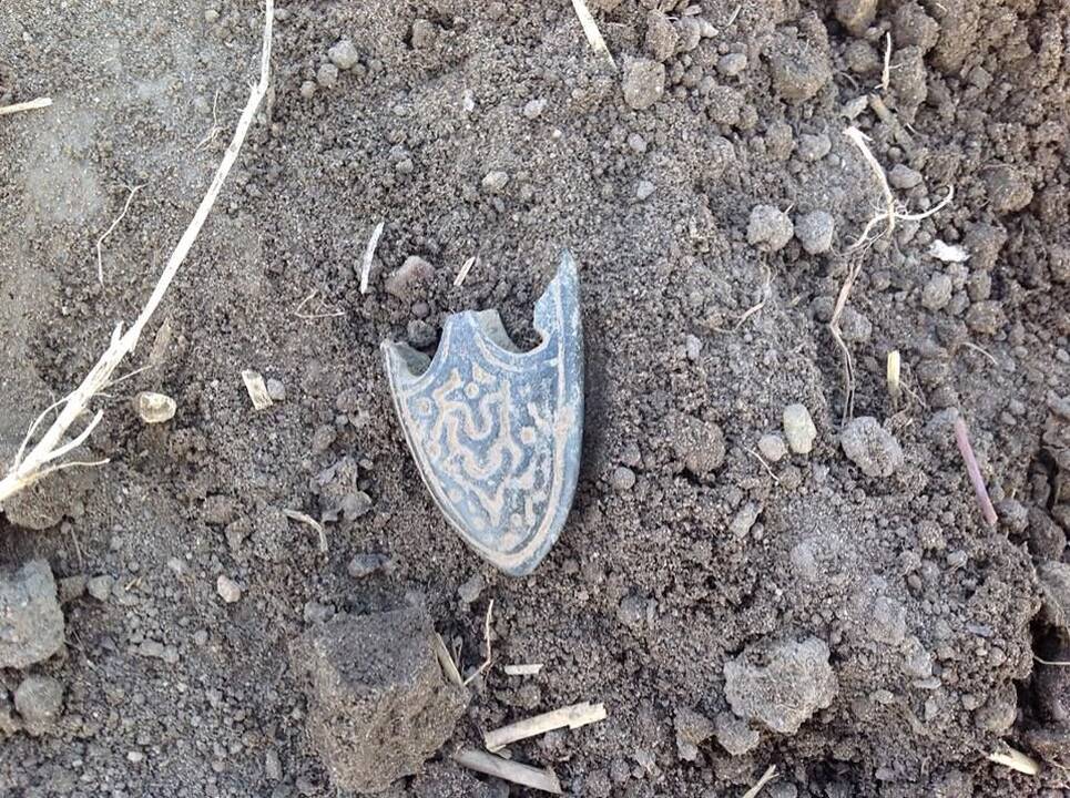Praverčia: archeologai patvirtina, kad profesionalių metalo ieškiklių naudotojų pagalba yra naudinga atliekant tyrimus.