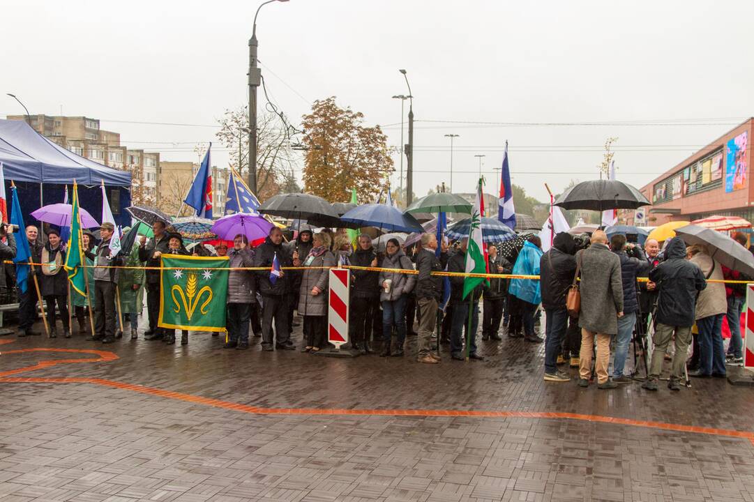 Piketas prieš planus dalį Kauno rajono teritorijos prijungti prie miesto
