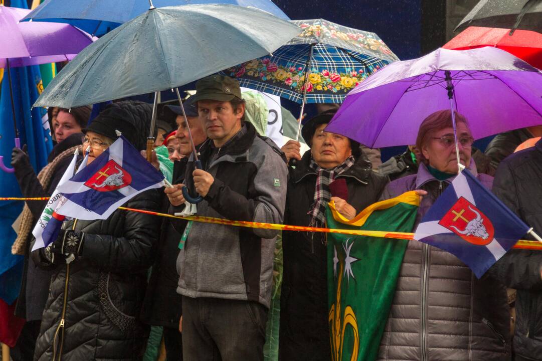 Piketas prieš planus dalį Kauno rajono teritorijos prijungti prie miesto