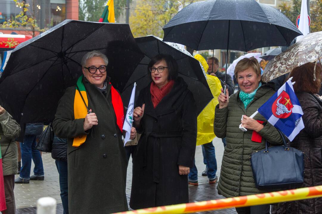 Piketas prieš planus dalį Kauno rajono teritorijos prijungti prie miesto