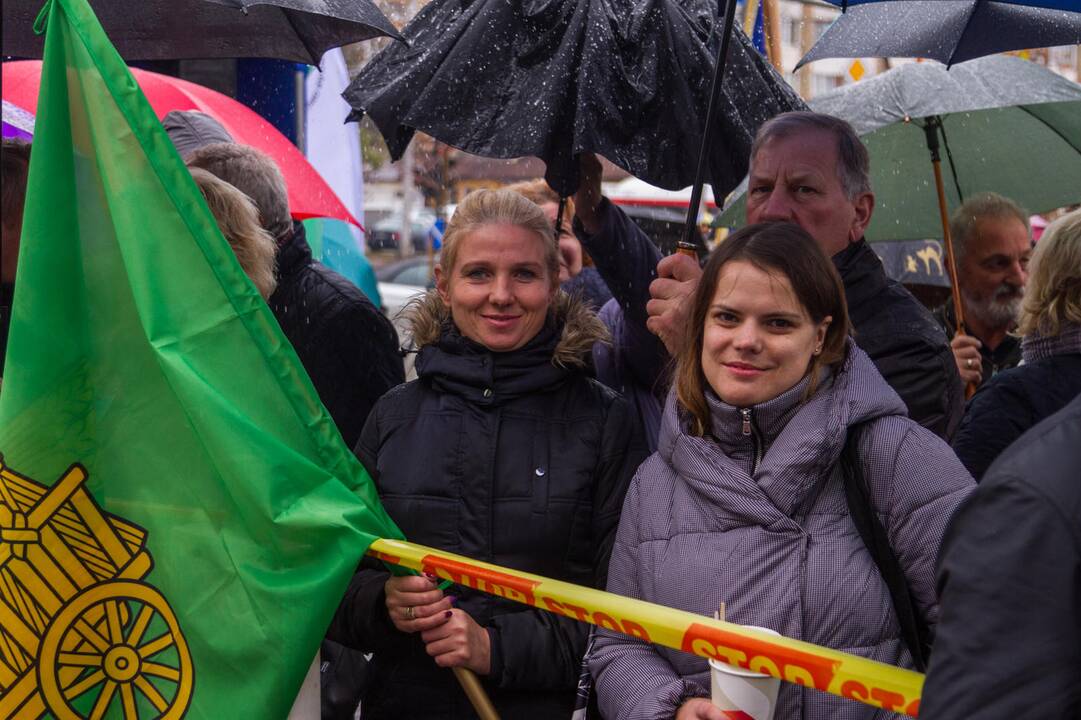 Piketas prieš planus dalį Kauno rajono teritorijos prijungti prie miesto