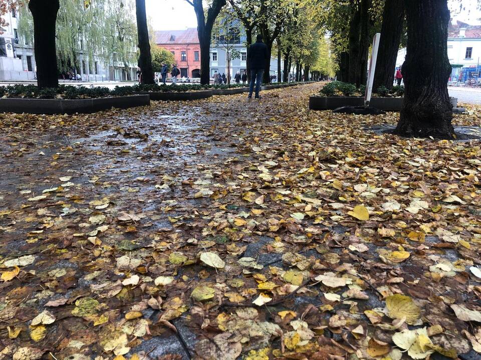Rudeniniai lapai nuklojo Kauną