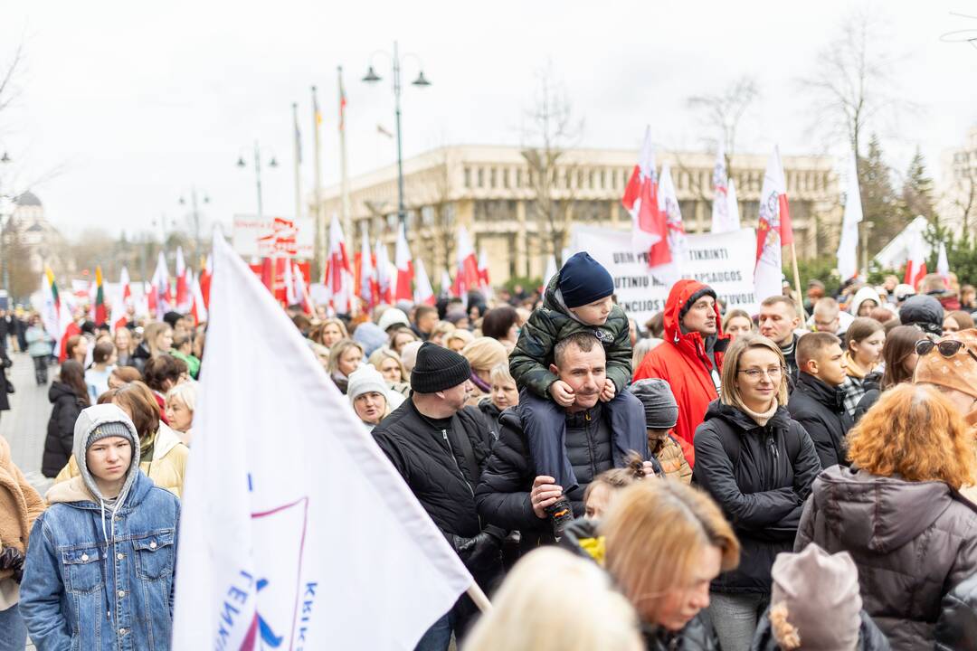 Mitingas tautinių mažumų mokykloms apginti
