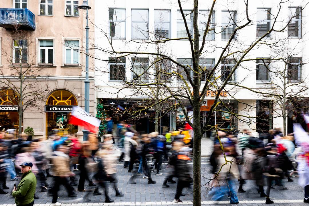 Mitingas tautinių mažumų mokykloms apginti