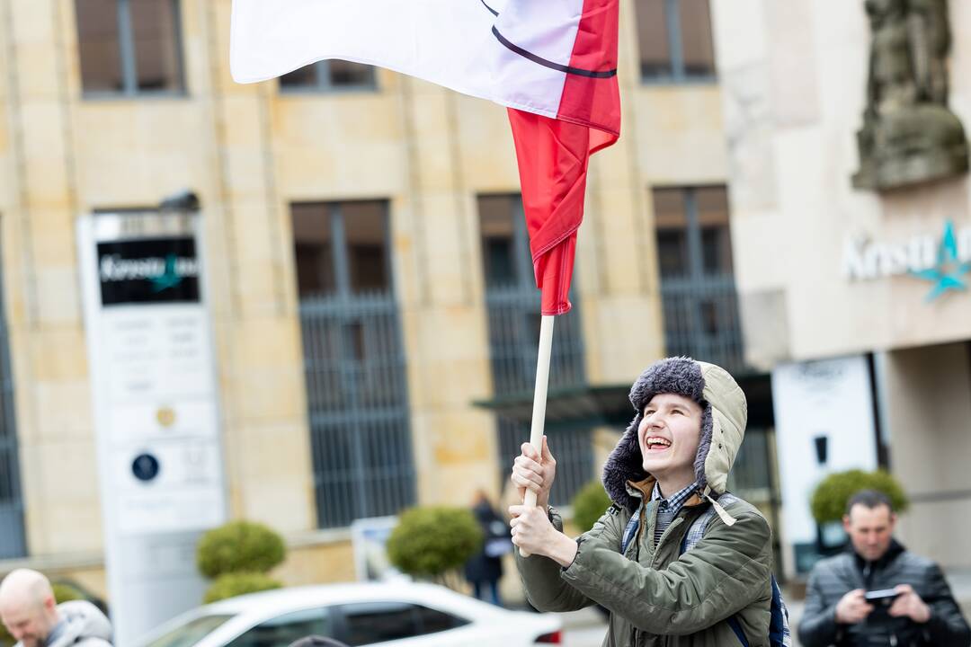 Mitingas tautinių mažumų mokykloms apginti