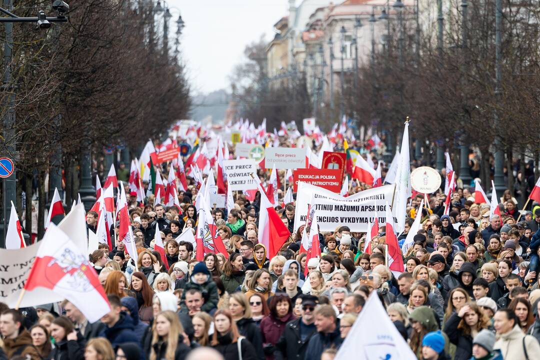 Mitingas tautinių mažumų mokykloms apginti