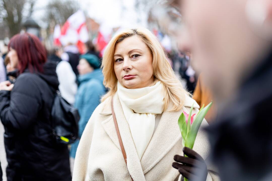 Mitingas tautinių mažumų mokykloms apginti