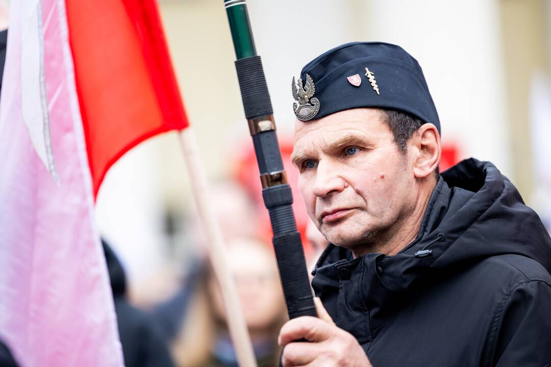Mitingas tautinių mažumų mokykloms apginti