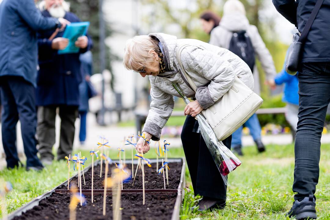 Saulėgrąžų sodinimas Tuskulėnų memoriale