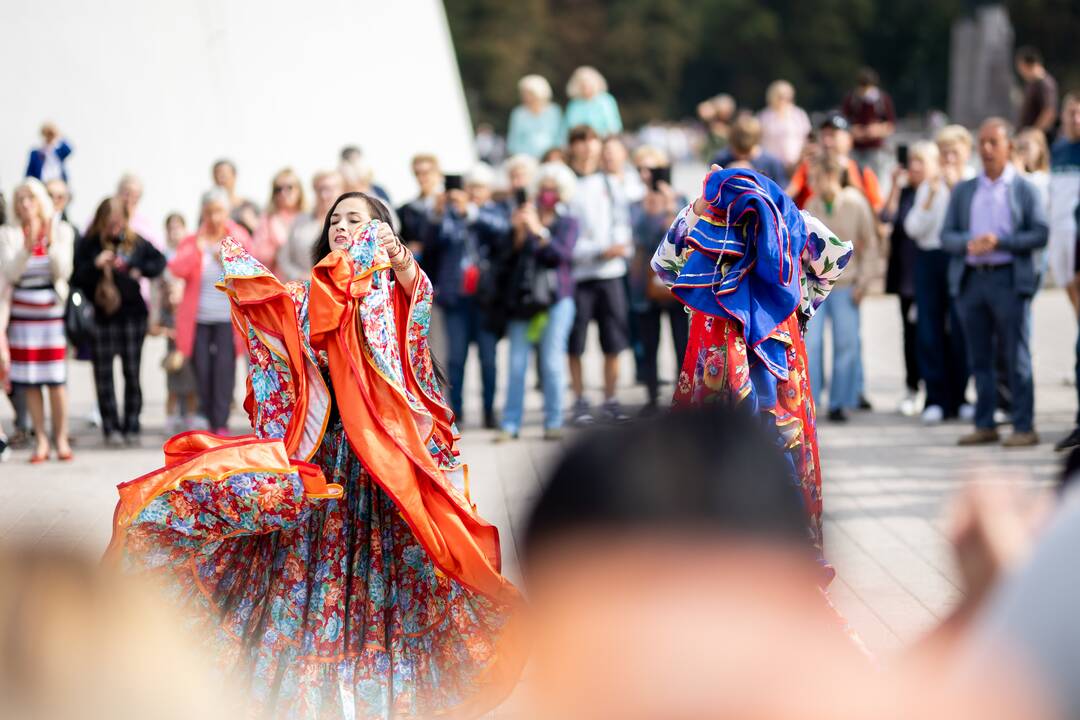 Teatrališka romų eisena su žirgais