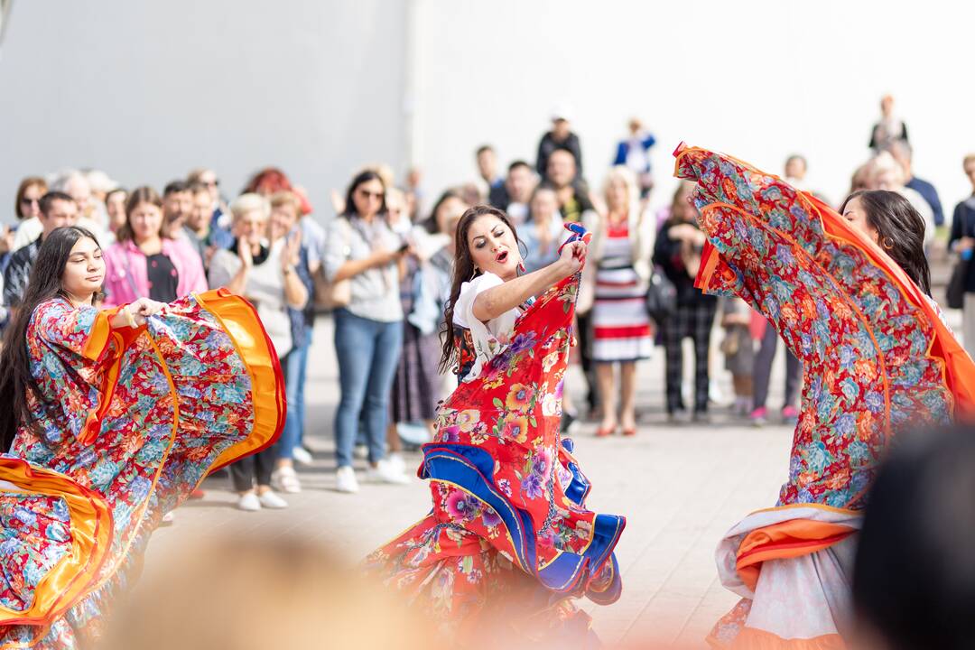 Teatrališka romų eisena su žirgais