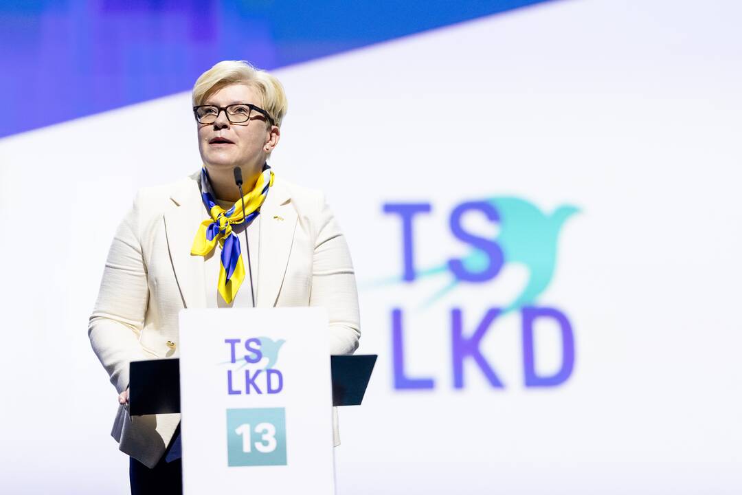 Tėvynės sąjungos-Lietuvos krikščionių demokratų suvažiavimas