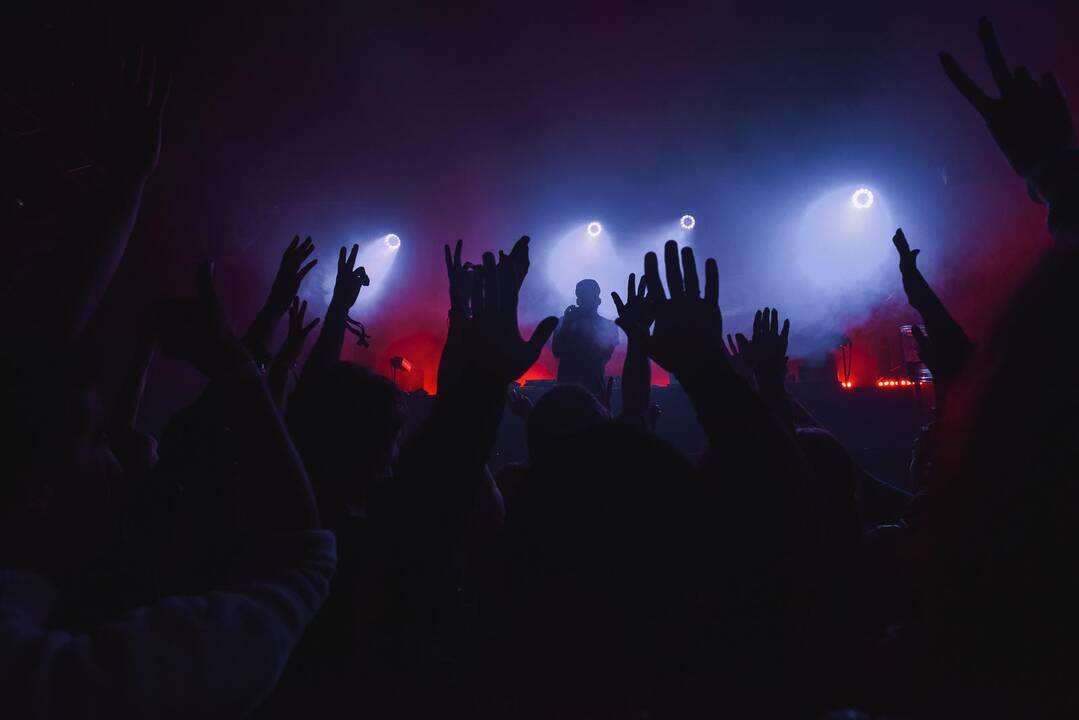 „Loftas Fest‘18“ antroji diena