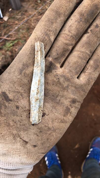 Kasinėjimai: Kulautuvos kapinyne archeologai plušėjo šį rudenį.