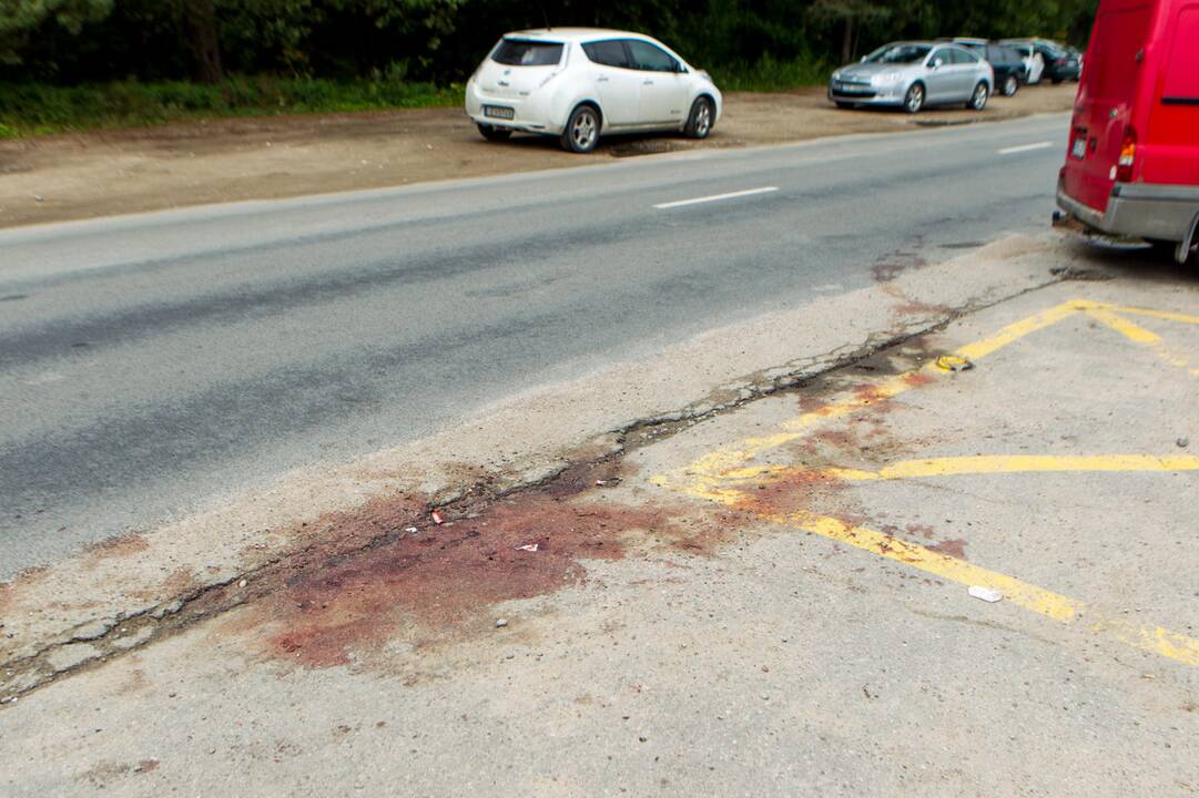 Žiaurios žmogžudystės Romainiuose vieta