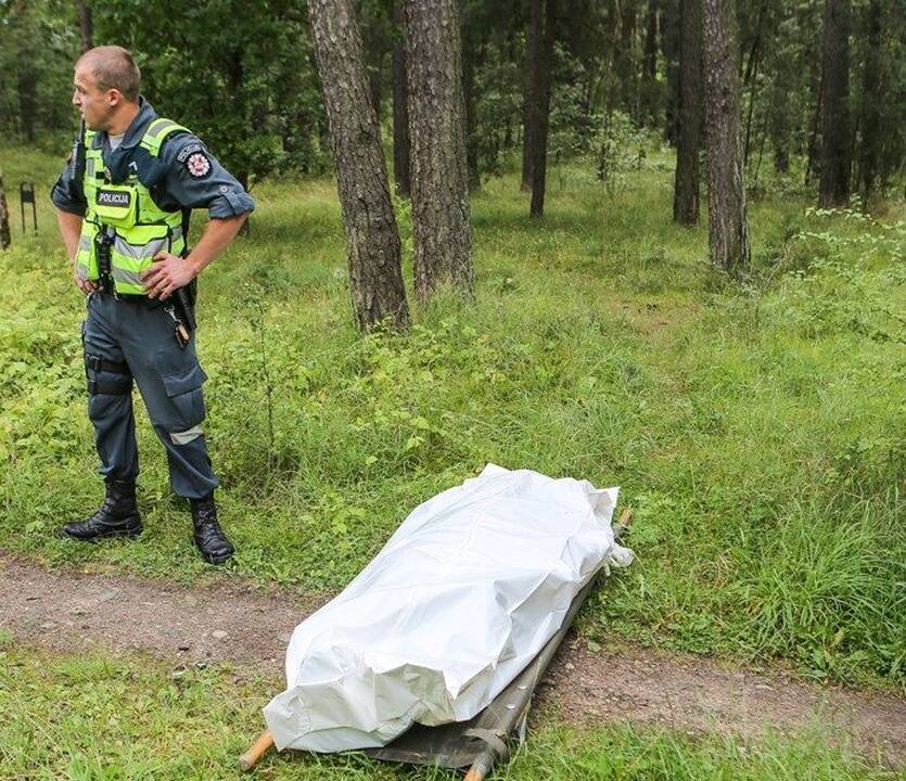 Vilniaus rajono pievoje pamatė šiurpų vaizdą: tiriamas nužudymas