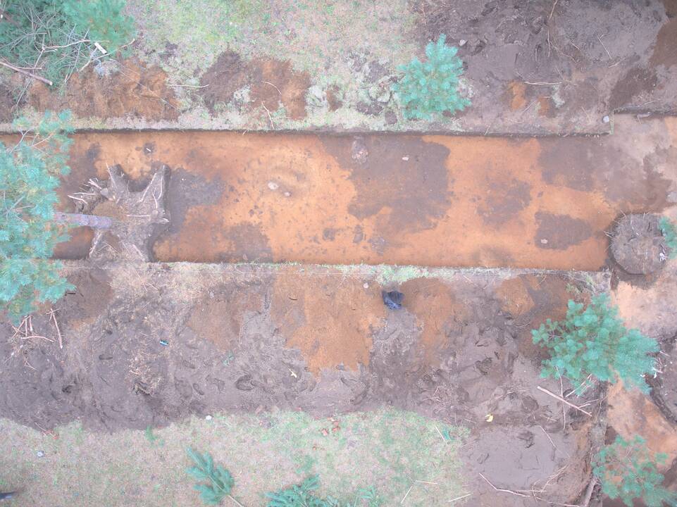 Kasinėjimai: Kulautuvos kapinyne archeologai plušėjo šį rudenį.