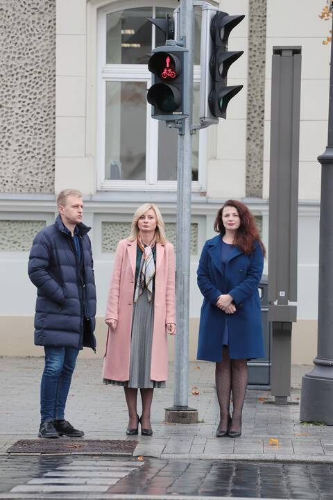 Kauno rajono gyventojai surengė piketą prie VRM