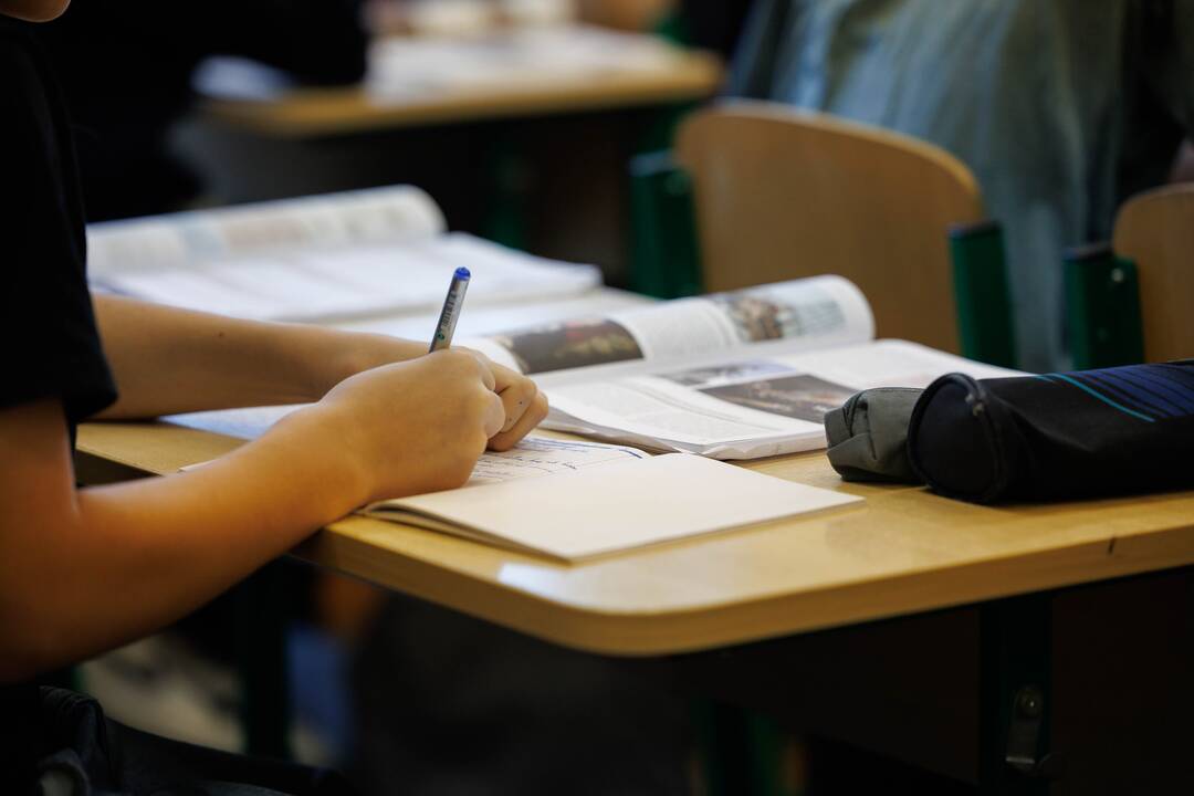 Ragina skubiai imtis pokyčių dėl vokiečių kalbos: padėtis – apgailėtina