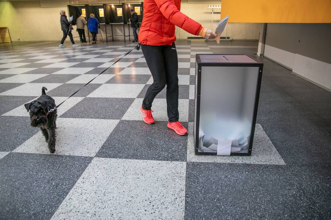 Lietuva renka naują valdžią: 2024-ųjų Seimo rinkimai