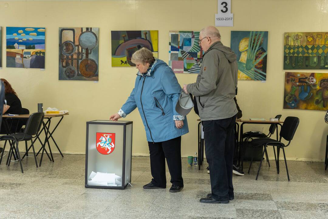 Lietuva renka naują valdžią: 2024-ųjų Seimo rinkimai