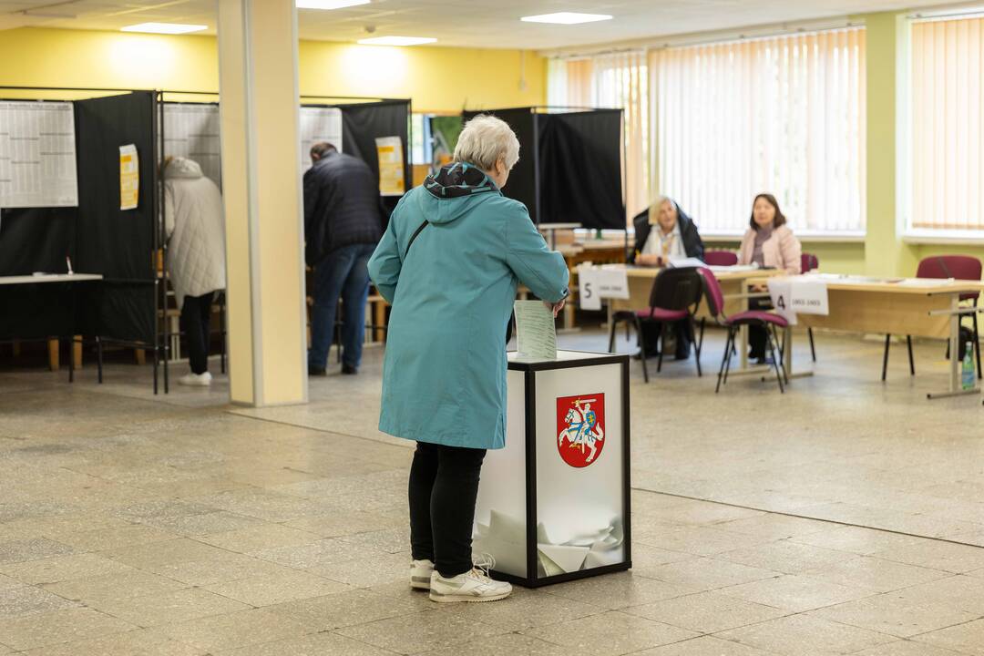 Lietuva renka naują valdžią: 2024-ųjų Seimo rinkimai