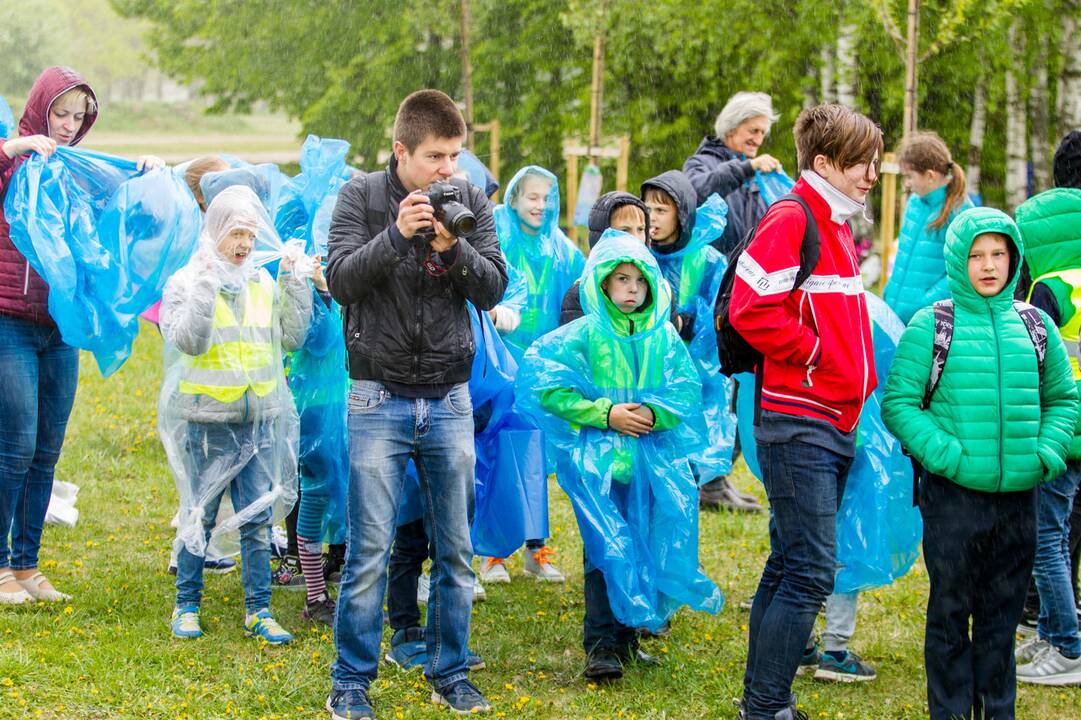 Piknikas Nemuno saloje tarp sakurų