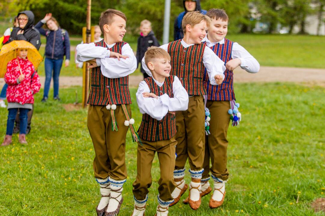 Piknikas Nemuno saloje tarp sakurų